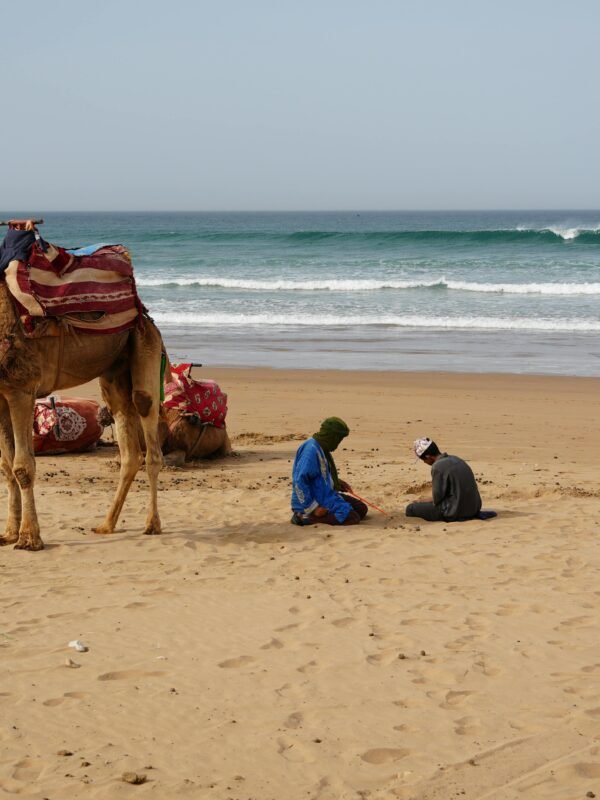 8 Days Desert Tour from Agadir to Marrakech